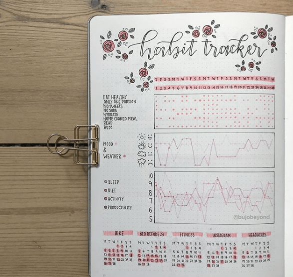 BujoBeyond Habit Tracker